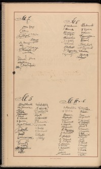 Strona nr 32 w tomie nr 10