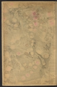 Strona nr 2 w tomie nr 14