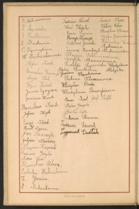 Strona nr 12 w tomie nr 15