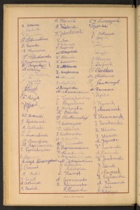 Strona nr 44 w tomie nr 17