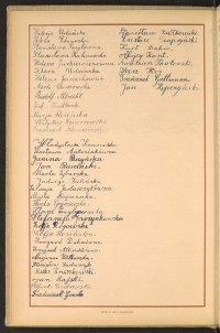 Strona nr 28 w tomie nr 19