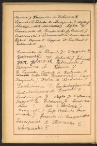 Strona nr 48 w tomie nr 19