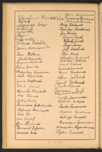 Podpis Czesław Brzeżyński na stronie nr 100 w tomie nr 19