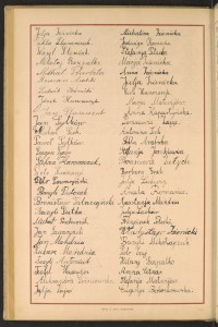 Podpis Bazyli Antoniuk na stronie nr 164 w tomie nr 19