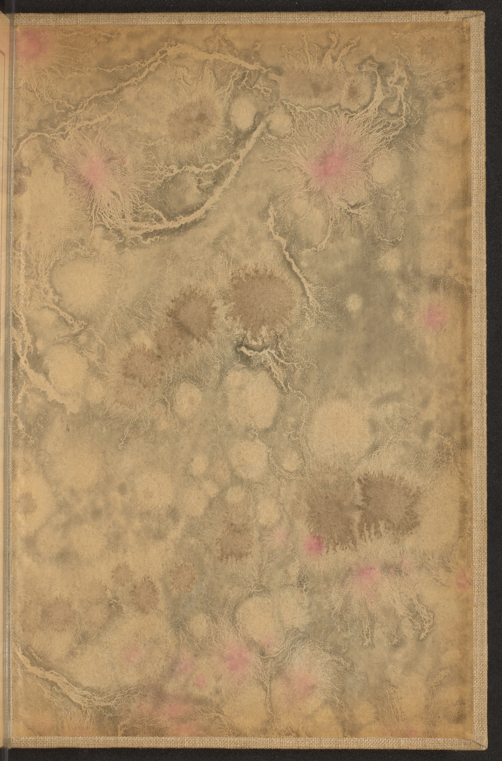 Strona nr 285 w tomie nr 21