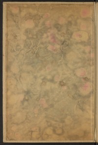 Strona nr 2 w tomie nr 24