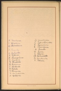 Strona nr 10 w tomie nr 28