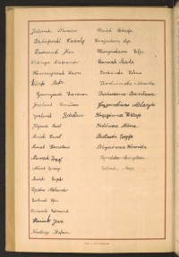 Podpis Marta Banasik na stronie nr 244 w tomie nr 29