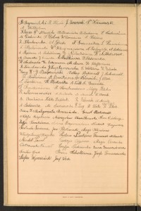 Strona nr 8 w tomie nr 30