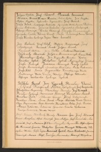 Strona nr 74 w tomie nr 30