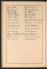 Strona nr 14 w tomie nr 31