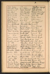 Strona nr 16 w tomie nr 31