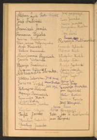 Podpis Jan Mirel na stronie nr 238 w tomie nr 31