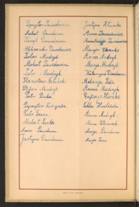 Strona nr 8 w tomie nr 35