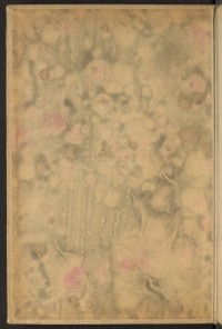 Strona nr 2 w tomie nr 41