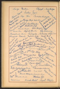 Podpis Irena Balicka na stronie nr 44 w tomie nr 42