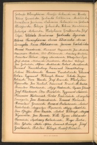 Strona nr 28 w tomie nr 43