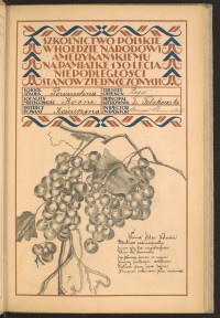 Strona nr 39 w tomie nr 43