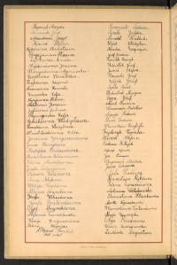 Strona nr 28 w tomie nr 45