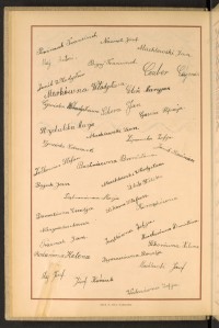 Strona nr 32 w tomie nr 45