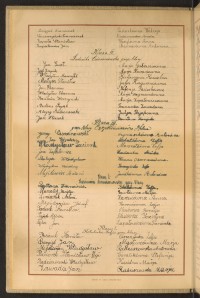 Strona nr 46 w tomie nr 45