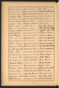 Strona nr 26 w tomie nr 46