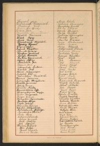 Podpis Brunon Anders na stronie nr 204 w tomie nr 46