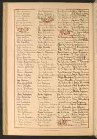 Podpis Lucyna Adler na stronie nr 234 w tomie nr 50