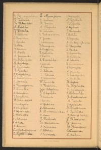 Strona nr 8 w tomie nr 51