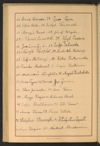 Podpis Michał Brodkiewicz na stronie nr 238 w tomie nr 97