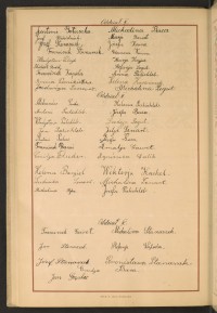 Podpis Franciszek Gaweł na stronie nr 238 w tomie nr 103