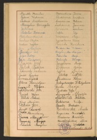 Podpis Bolesław Baniak na stronie nr 228 w tomie nr 106