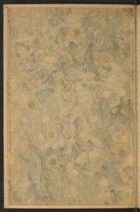 Strona nr 2 w tomie nr 107